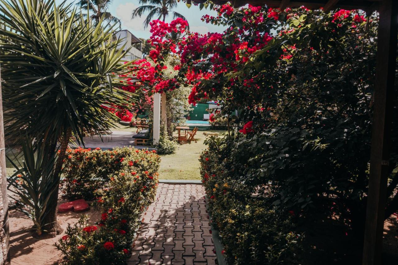 Free! Hostel Vila Praia de Pipa ภายนอก รูปภาพ